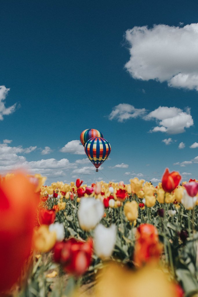 Volo Panoramico in Mongolfiera